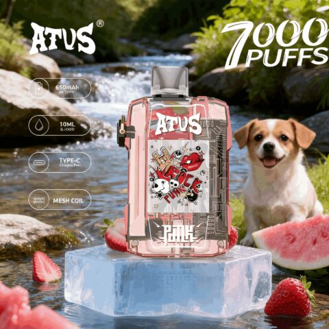 DE021 Einweg E-Zigarette 30000 Züge mit LED-Anzeige wiederaufladbar und einstellbarer Luftstrom MTL DTL ATVS