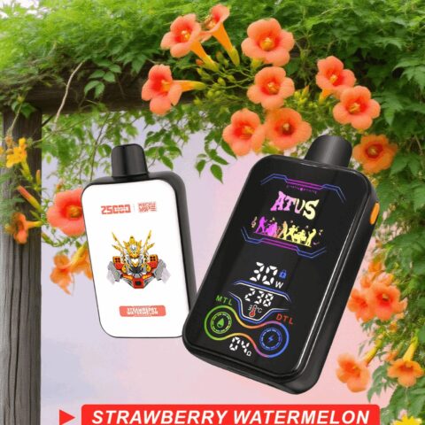 DE022 Vaper Desechable Puffs 25000 Caladas Vapers ATVS Vape