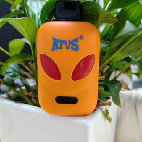 Vaper Desechable Puffs 25000 Caladas Vapers