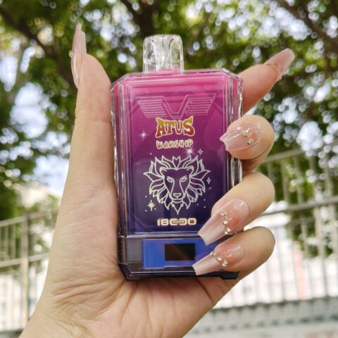 wegwerp vape prijs kosten per trekje in 2026